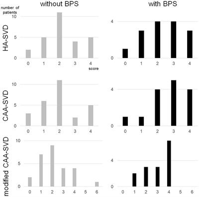 Association between behavioral and psychological symptoms and cerebral small vessel disease MRI findings in memory clinic patients